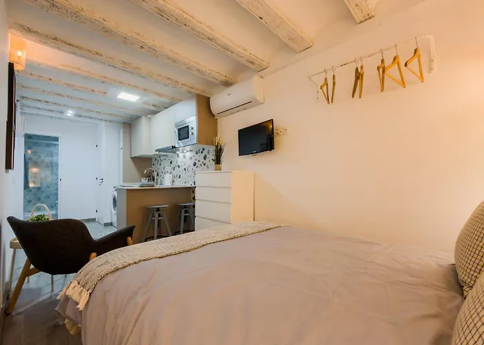 Apartment Acogedor Y Centrico Estudio 1 *